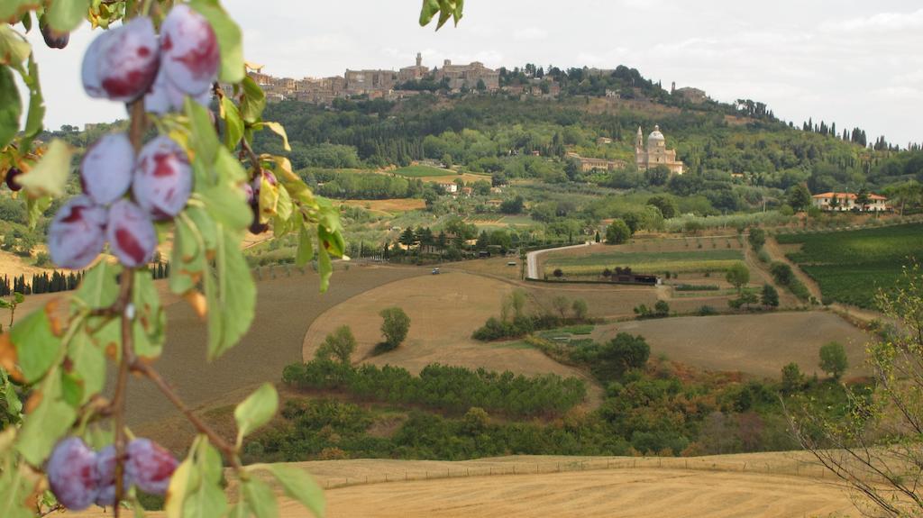 Agriturismo Villa Mazzi Montepulciano Ngoại thất bức ảnh