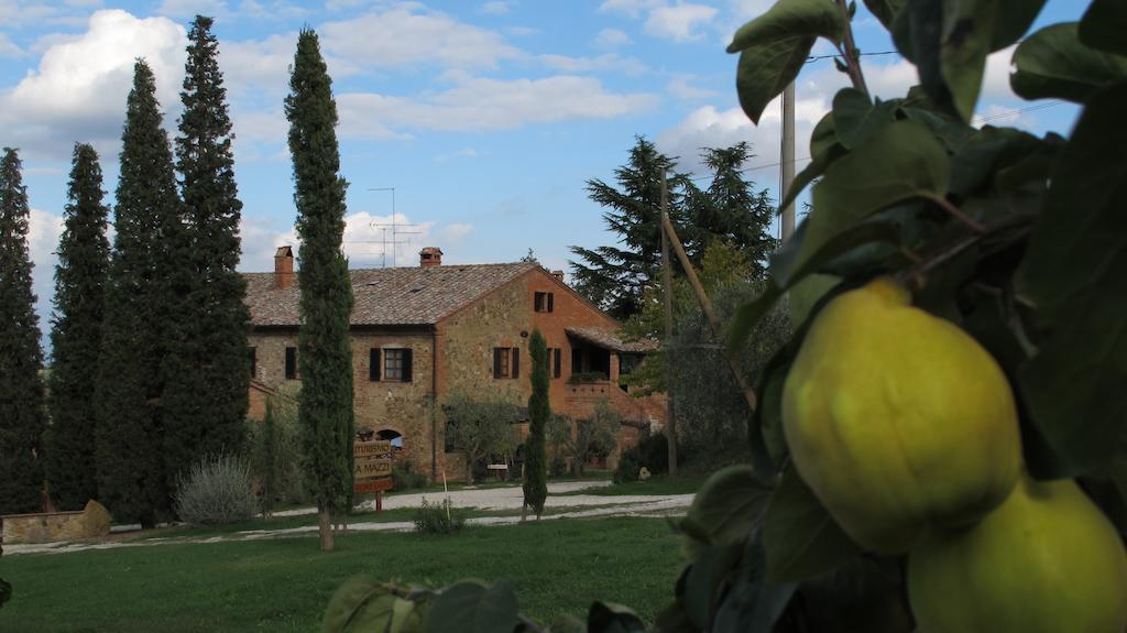 Agriturismo Villa Mazzi Montepulciano Ngoại thất bức ảnh